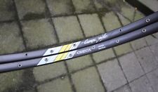 Coppia cerchioni clincher