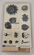 Stampin Up Decisamente