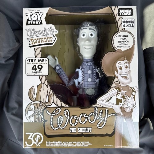 Toy story 30th - story, roundup