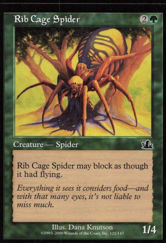 Rib cage spider - 121, c