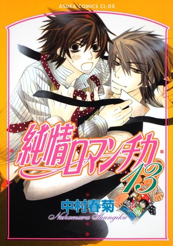 Junjou romantica vol manga - romantica, vol.13