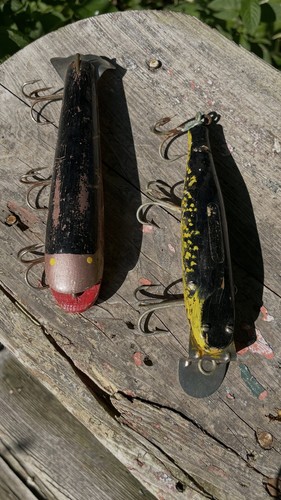 Coppia esche pesca - esche,