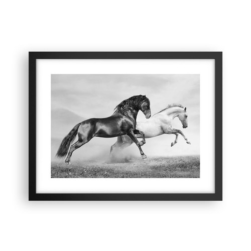 Poster 40x30cm cavalli - poster, animali