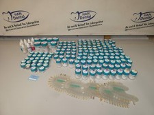 Massa ceramica Wieland Zirox