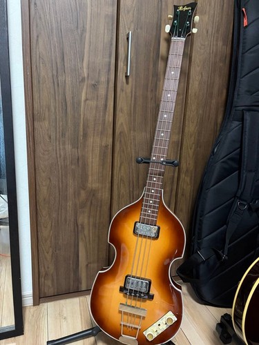 Hofner 500 basso violino - basso,