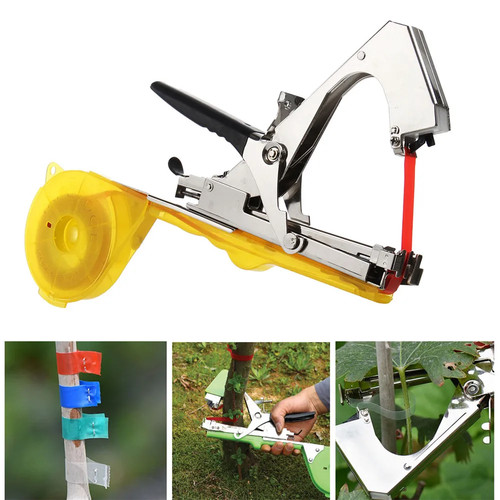 Legatrice piante giardino - piante,