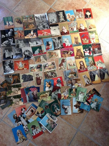 Stock collezione 100 cartoline - collezione,