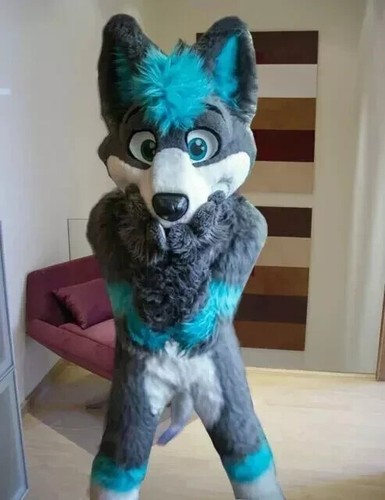 Costume lungo pelliccia - , husky