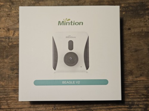 Mintion beagle - mintion, v2