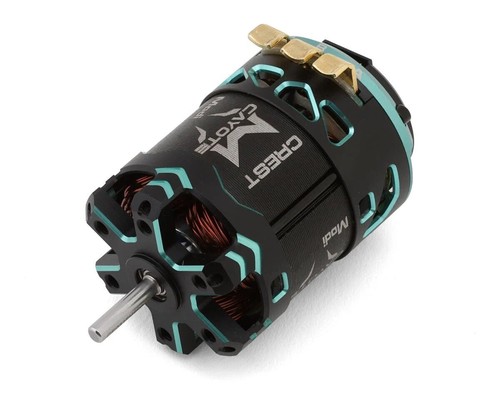 Motore brushless cayote racing - motore,