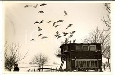 1940 WW2 FRANCE Ritorno dei piccioni viaggiatori dell'esercito francese - Foto
