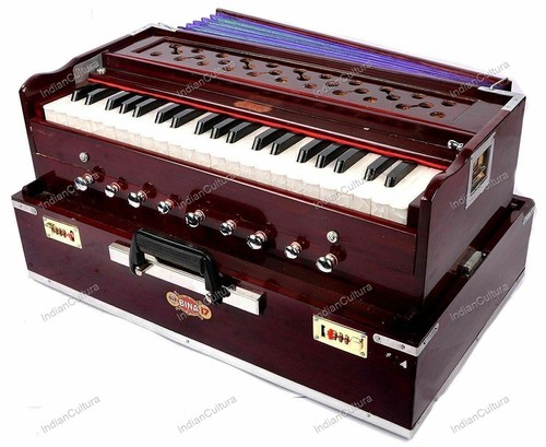 Indian bina original - bina,