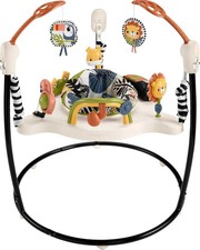 Fisher-Price Baby Bouncer Palm