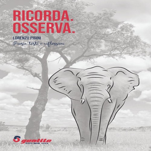 Ricorda osserva poesie e - osserva.,