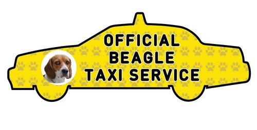 Funny beagle taxi - beagle, service