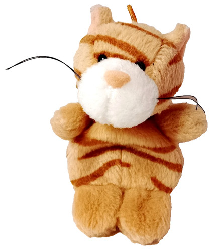 Ginger cat gatto - gatto, gattino