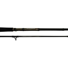 DAIWA Morethan Branzino AGS
