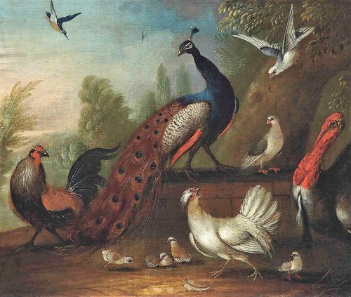 Marmaduke cradock follower - marmaduke, un