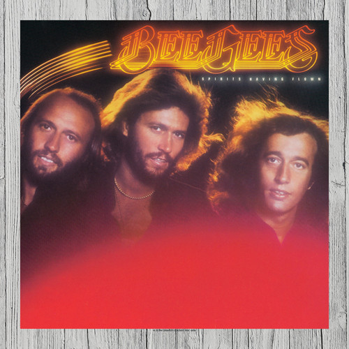 Copertina album bee - copertina,