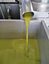 NEW OIL 2025 1 Litro Olio