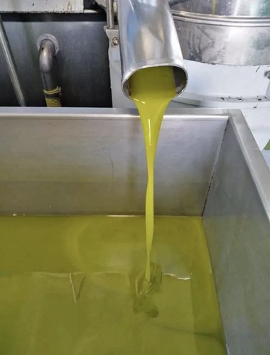 New oil 2025 litro olio - new, 1