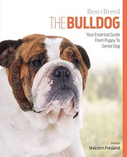Bulldog Best of Breed: Your