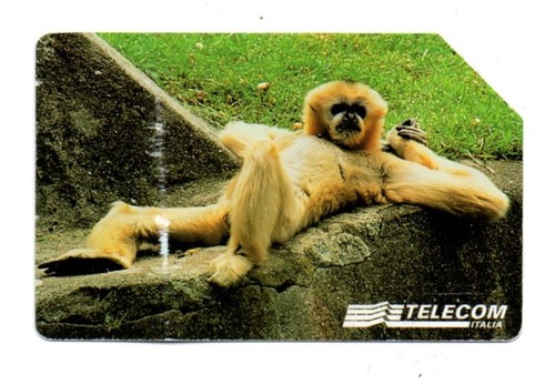 Scheda telefonica telecom - telefonica,