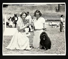 1956 Marin Co CA Dog Training