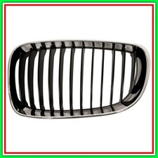 Griglia Radiatore Sinistra