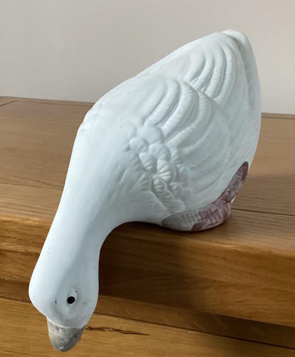 Anatra ornamentale - , in