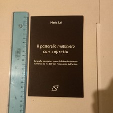 Maria Lai - Il pastorello