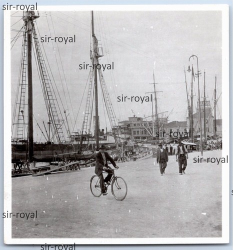 Sestri levante 1931 porto - levante,