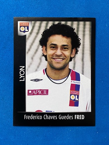 Foot 2008 figurine panini - 2008,