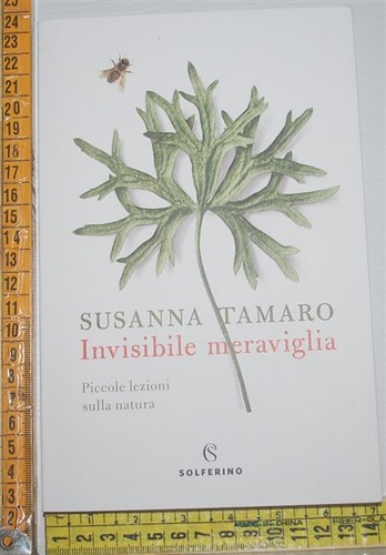 Tamaro susanna invisibile - susanna,