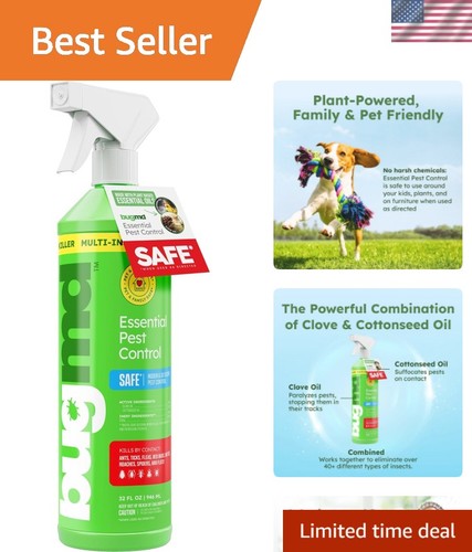Flacone spray ricaricabile - , 32