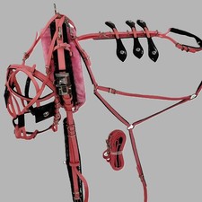 Imbracatura guida cavalli