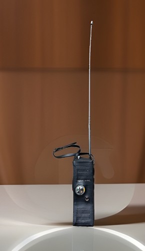 Coppia walkie talkie palmari - coppia,