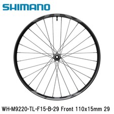 Ruota anteriore tubeless
