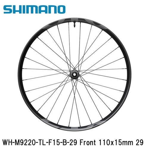 Ruota anteriore tubeless