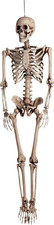 Scheletro in Plastica (160Cm) - Decorazione per Halloween E Feste - Colore Bianc