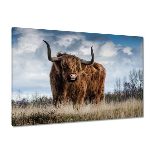 Quadro tela da - su,