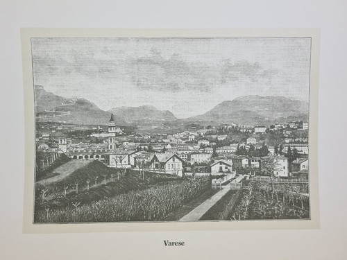 Cartella orazio picciotto - cartella,