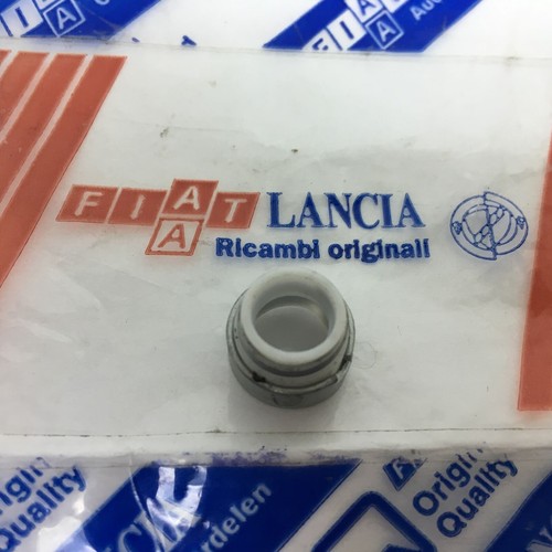 Guarnizione tenuta - guarnizione,