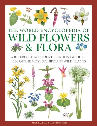 Wild flowers and flora the - flowers,