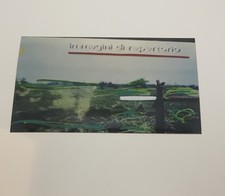 Mario Schifano, foto ritoccata