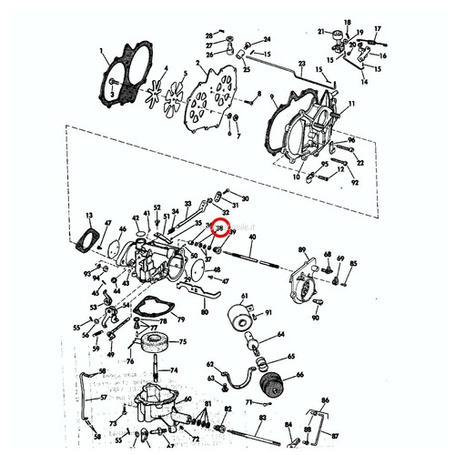 Rondella carburatore evinrude - rondella,