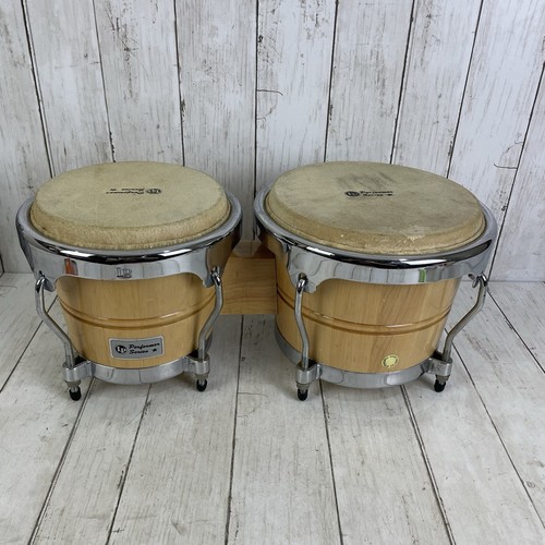 Latin percussion performer - percussion,