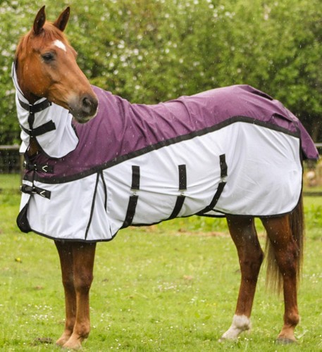 Tappeto cavallo rete affluenza