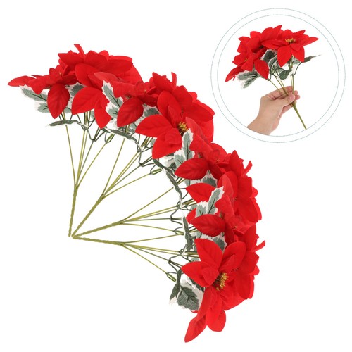 Pcs fiore stella natale - 4, di