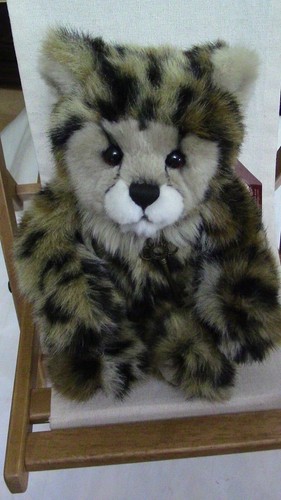 Orso charlie karla pensione - karla,